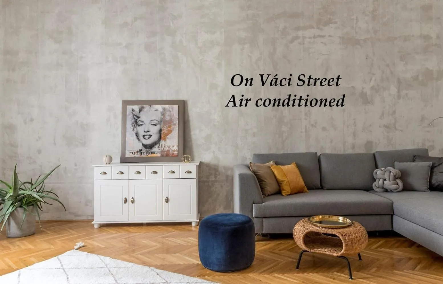 הקונטקטים של Central Apartman With Ac